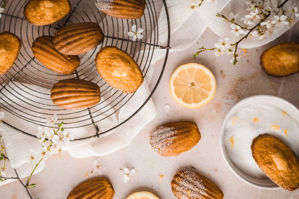 Einfaches gelingsicheres Rezept für original französische Madeleines mit Vanille und Zitrone. Perfektes Gebäck zum Tee oder fürs Büro! Oder zum Frühstück frisch aufgebacken riecht es im ganzen Haus nach Vanille und Gebäck! #madeleine #madeleines #französisch #patisserie #teegebäck #französischesgebäck #kleingebäck